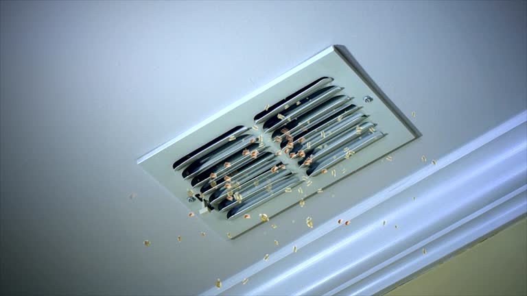 HVAC System Cleaning in Buena Vista, MI